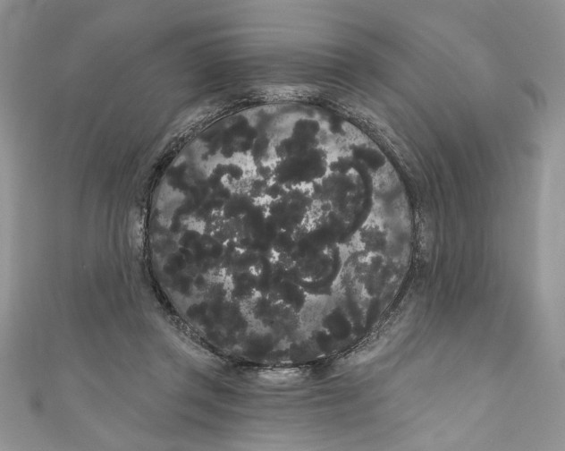 X0000111050357200907161410