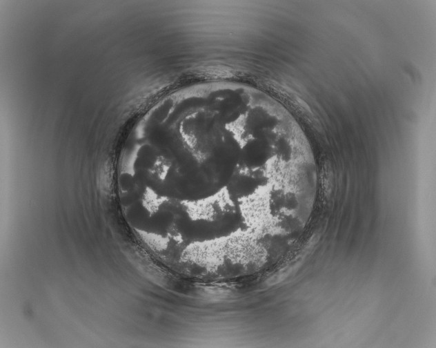 X0000111050359200907161410