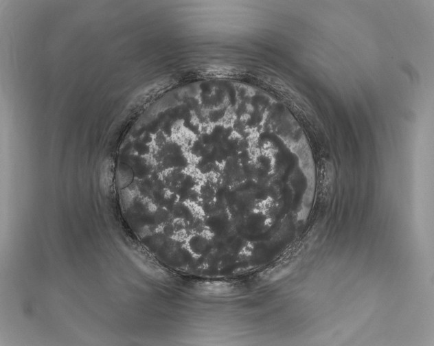 X0000111050361200907161410