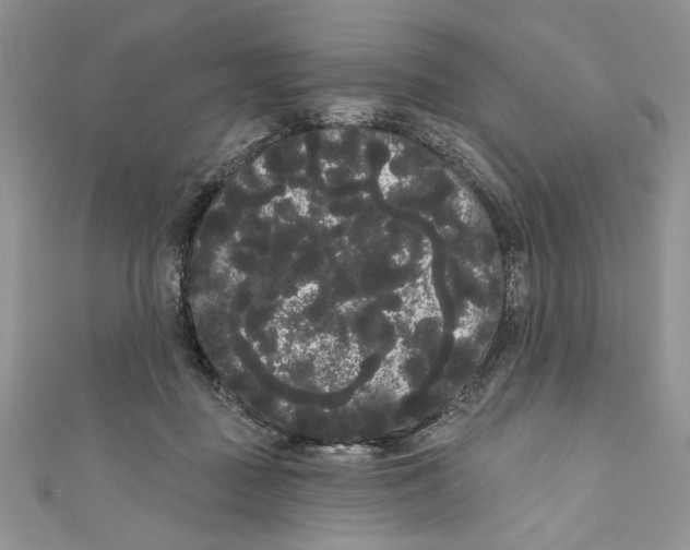 X0000111050363200907161410