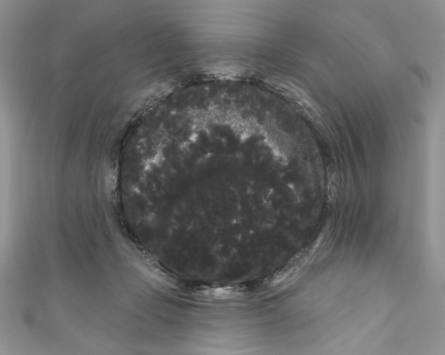 X0000111050365200907161410