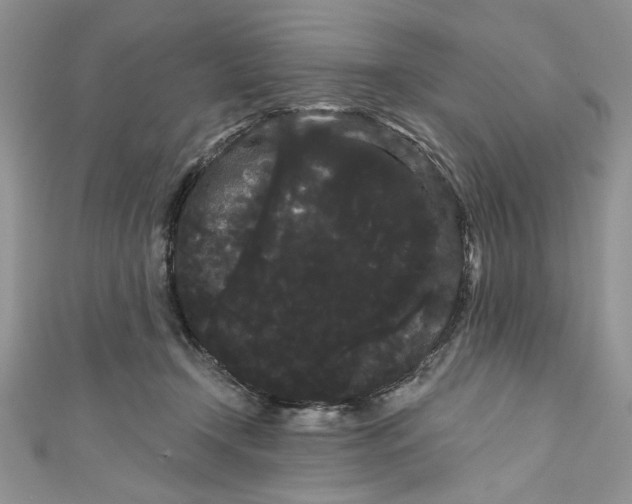 X0000111050366200907161410