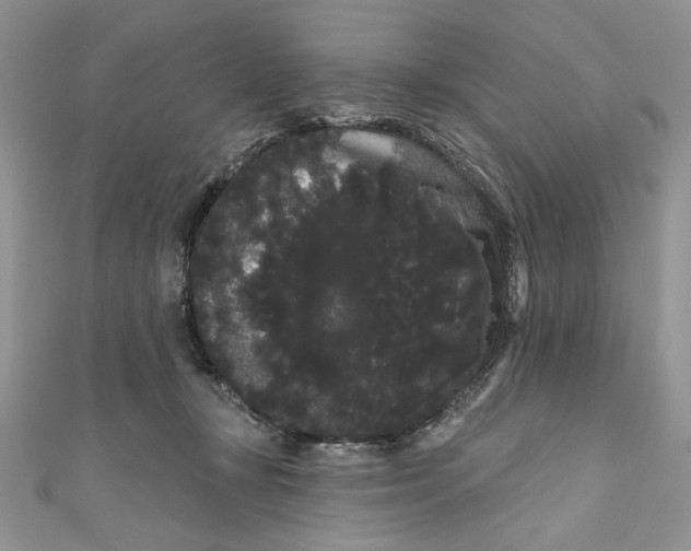 X0000111050367200907161410