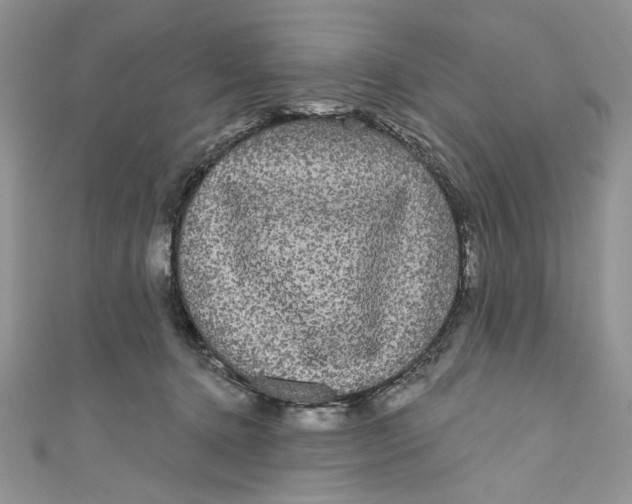 X0000111050368200907161410