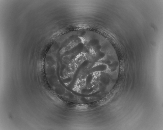 X0000111050369200907161410