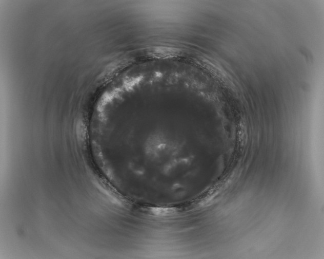 X0000111050371200907161410