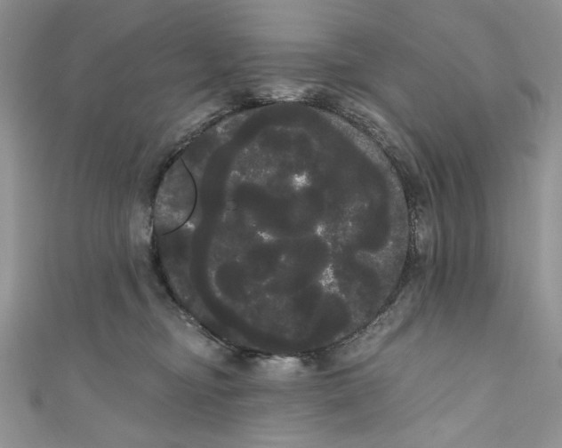 X0000111050374200907161410