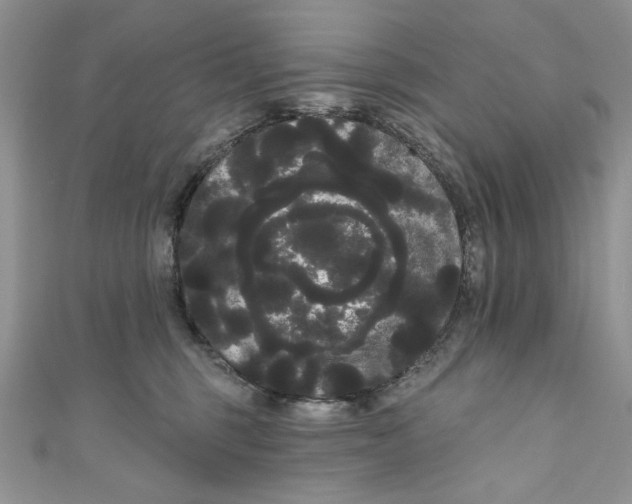 X0000111050375200907161410