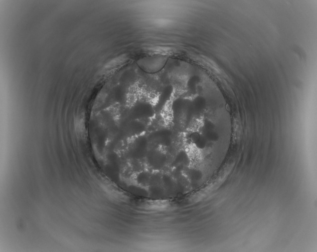 X0000111050377200907161410