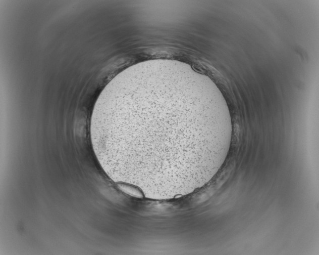 X0000111050379200907161410