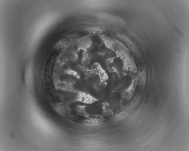 X0000111050381200907161410