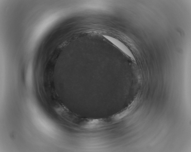 X0000111050382200907161410