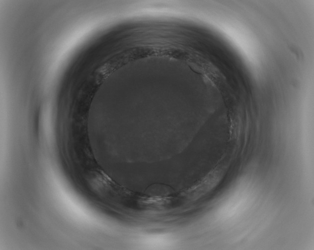 X0000111050383200907161410