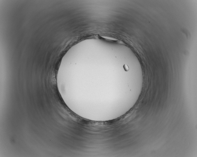 X0000111050384200907161410