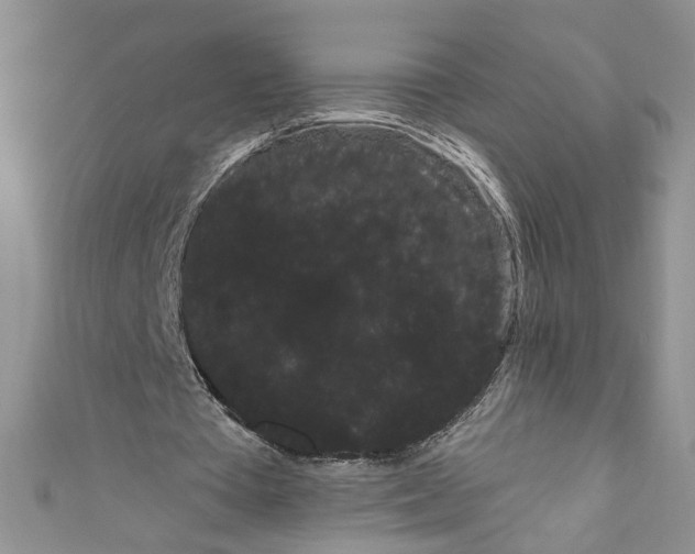 X0000111050385200907161409