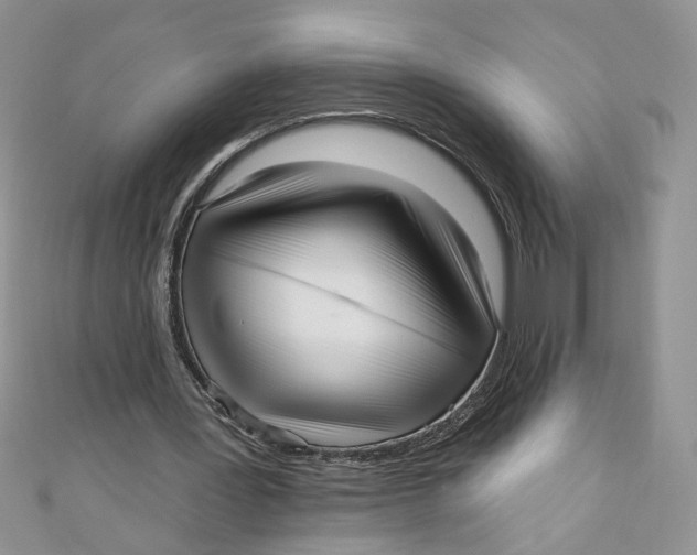 X0000111050387200907161409