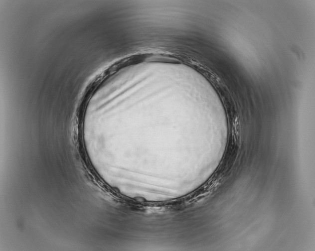 X0000111050388200907161409