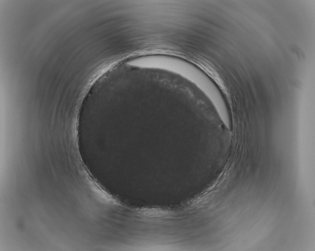 X0000111050389200907161409