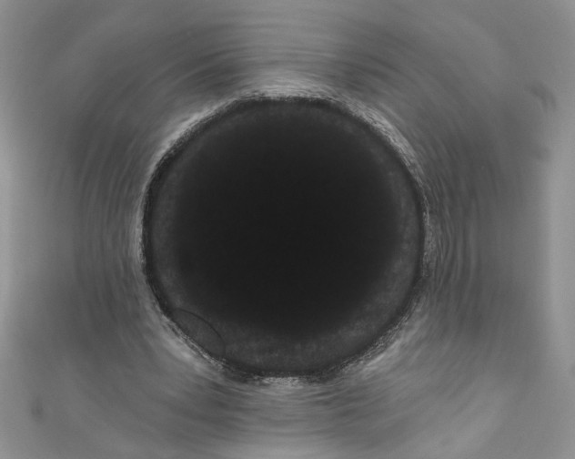 X0000111050391200907161409