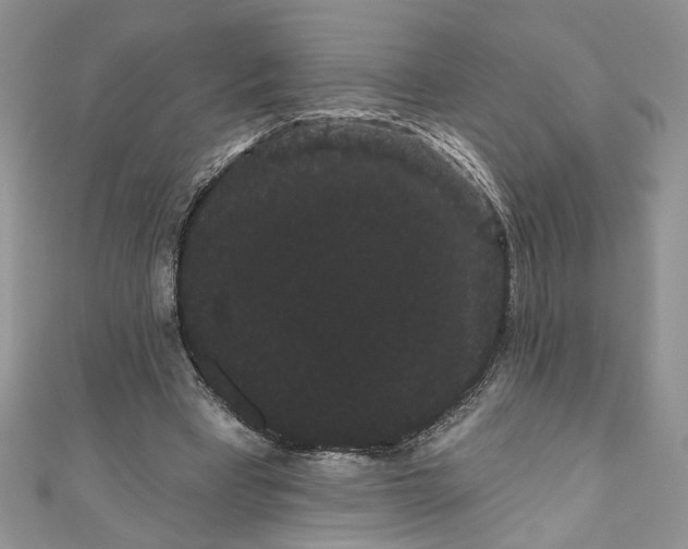 X0000111050393200907161409