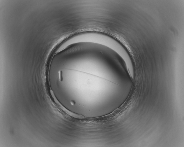 X0000111050395200907161409