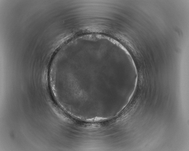 X0000111050398200907161409