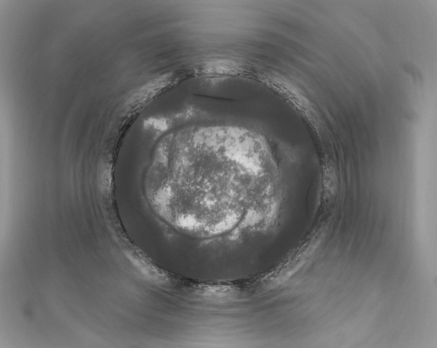 X0000111050401200907161409