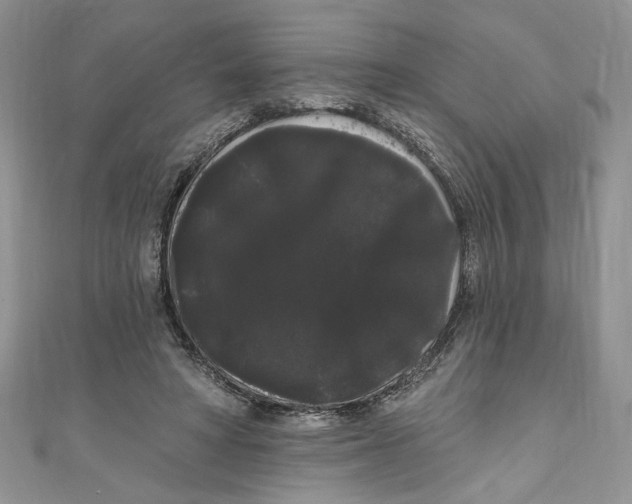 X0000111050402200907161409