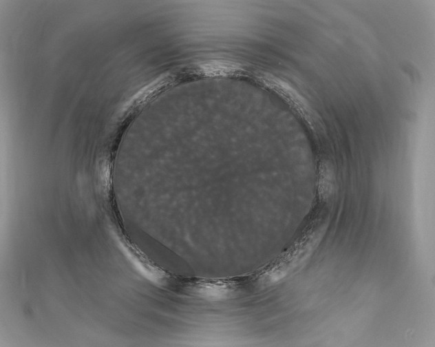 X0000111050405200907161409