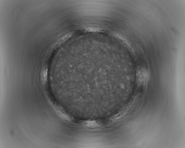 X0000111050406200907161409