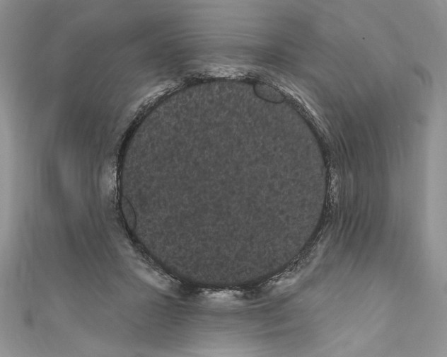 X0000111050407200907161409