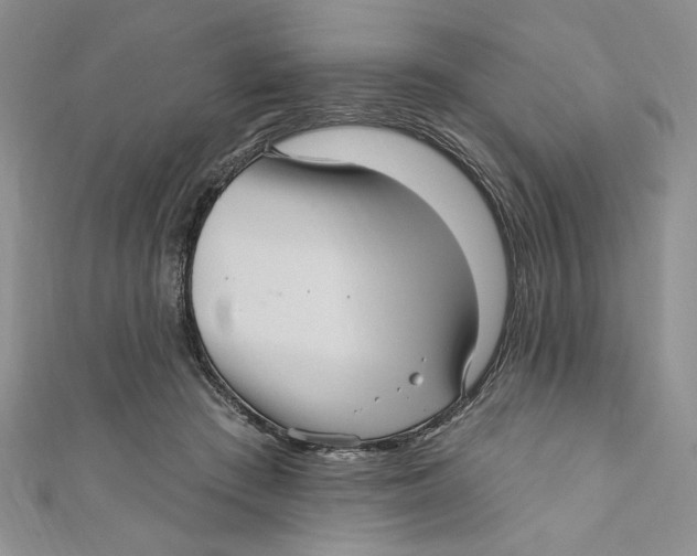 X0000111050409200907161409