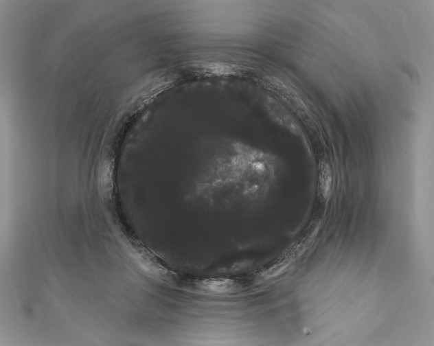 X0000111050410200907161409