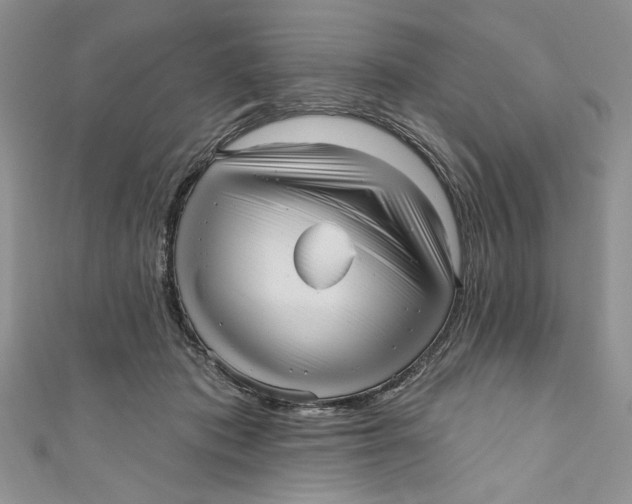 X0000111050413200907161409