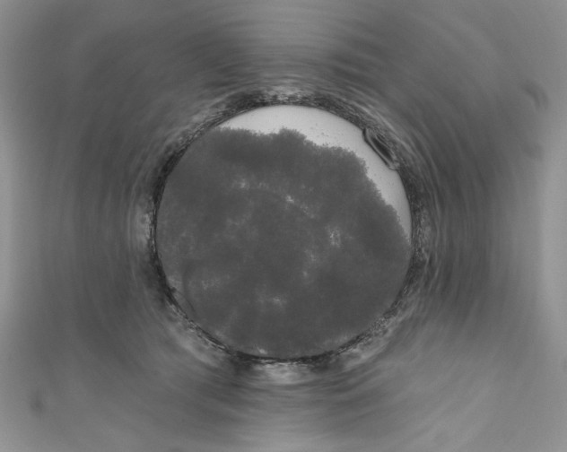 X0000111050417200907161409