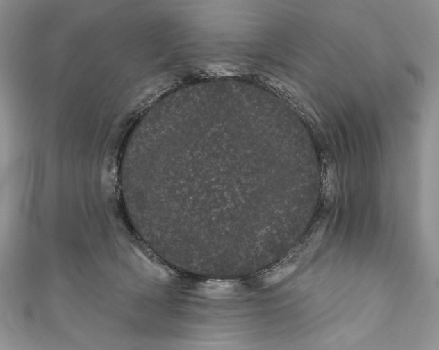 X0000111050418200907161409