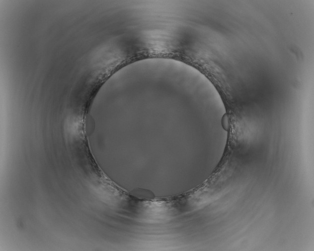 X0000111050419200907161409