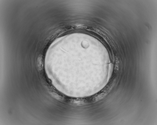 X0000111050420200907161409