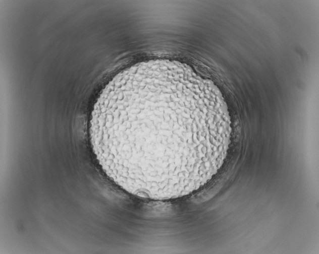 X0000111050421200907161409