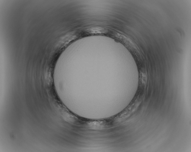 X0000111050422200907161409