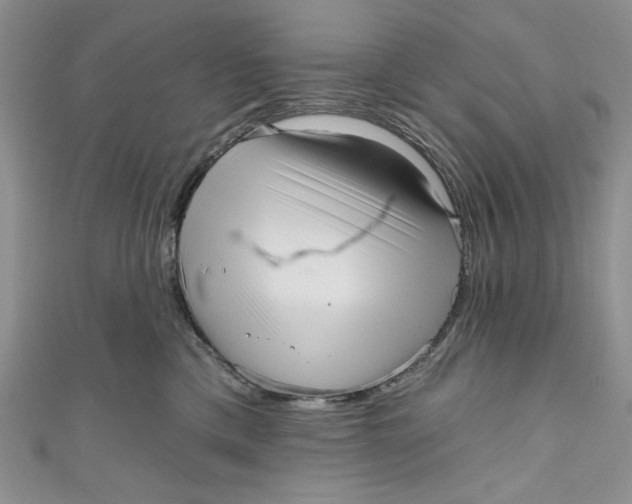 X0000111050425200907161409