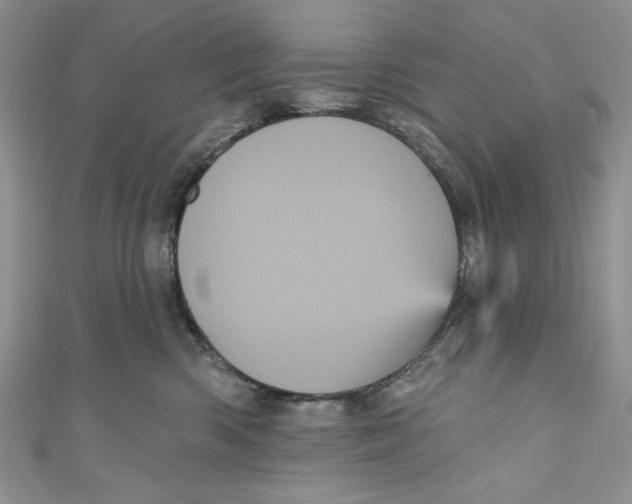 X0000111050426200907161409