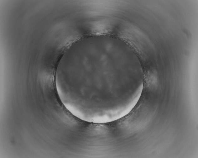 X0000111050427200907161409