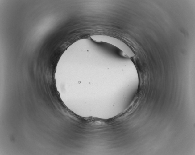 X0000111050429200907161409