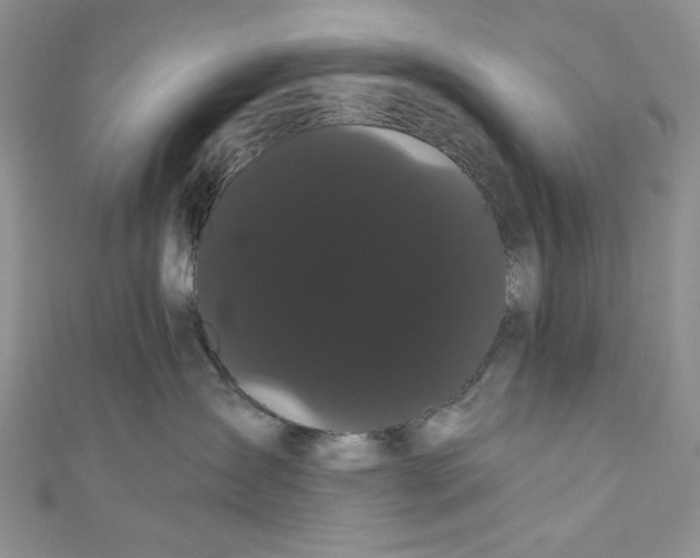 X0000111050431200907161409