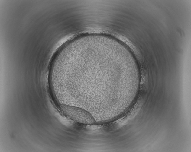 X0000111050440200907161408