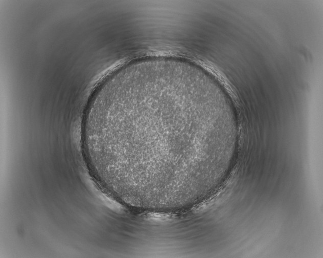 X0000111050442200907161408