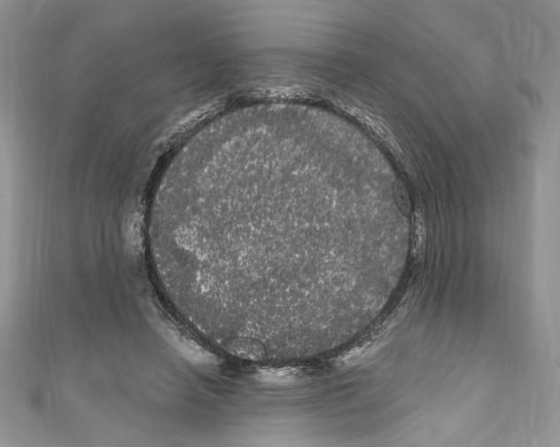 X0000111050450200907161408