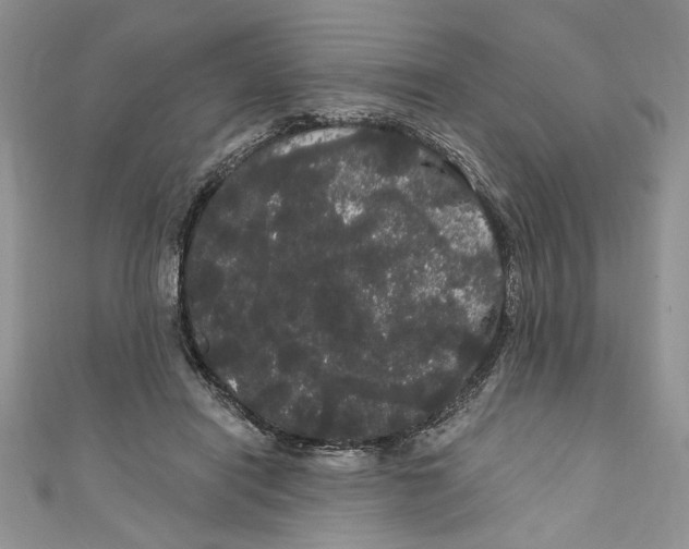 X0000111050454200907161408