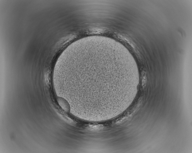 X0000111050455200907161408